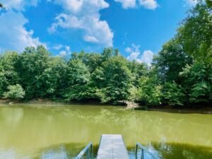 White Oak Landing photo 17
