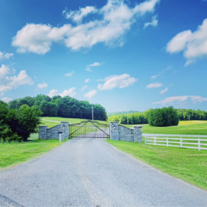 White Oak Landing photo 10