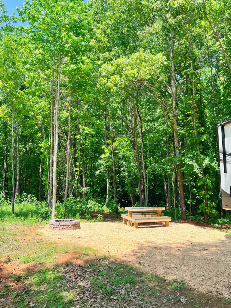 Lot 220