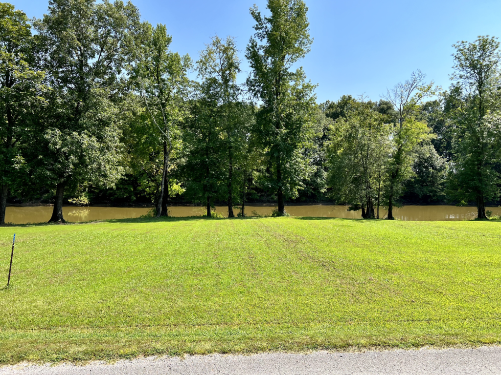 Lot 223
