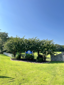 White Oak Landing photo 19