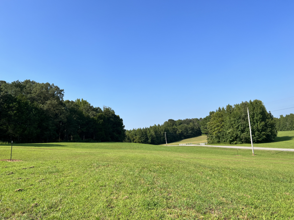 Lot 211