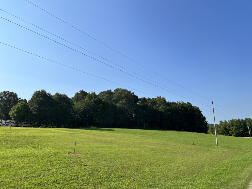 Lot 211