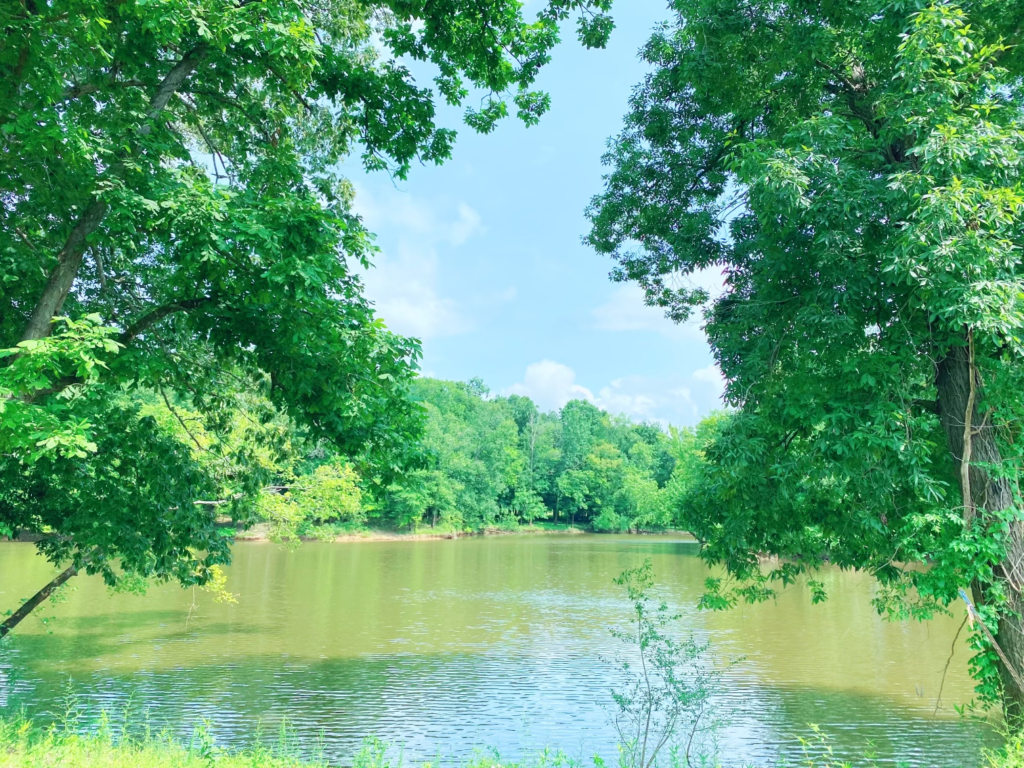 Lot 220 waterfront site