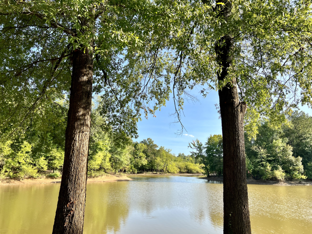 Lot 213
