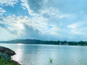 White Oak Landing photo 27