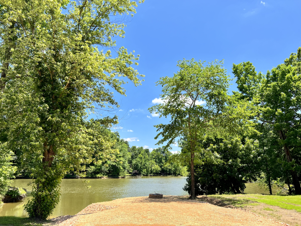 Lot 214