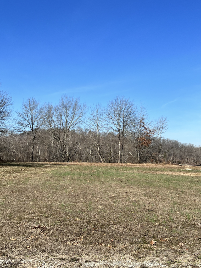 Lot 6